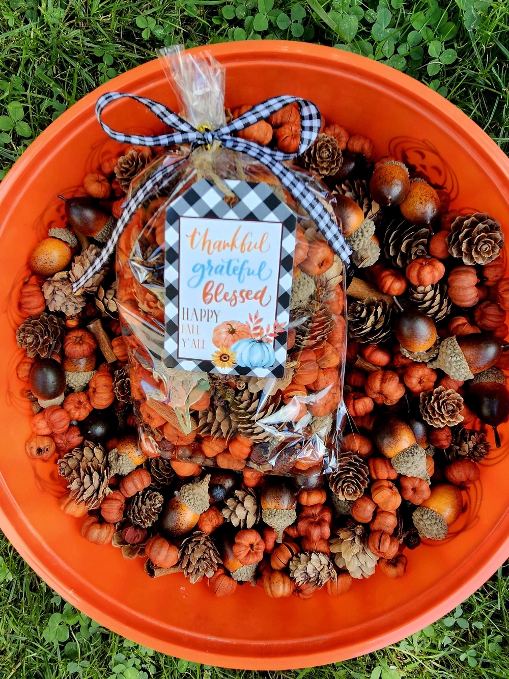 Fall Decorative Potpourri Mix in Orange - Seasonal Home Party Accent